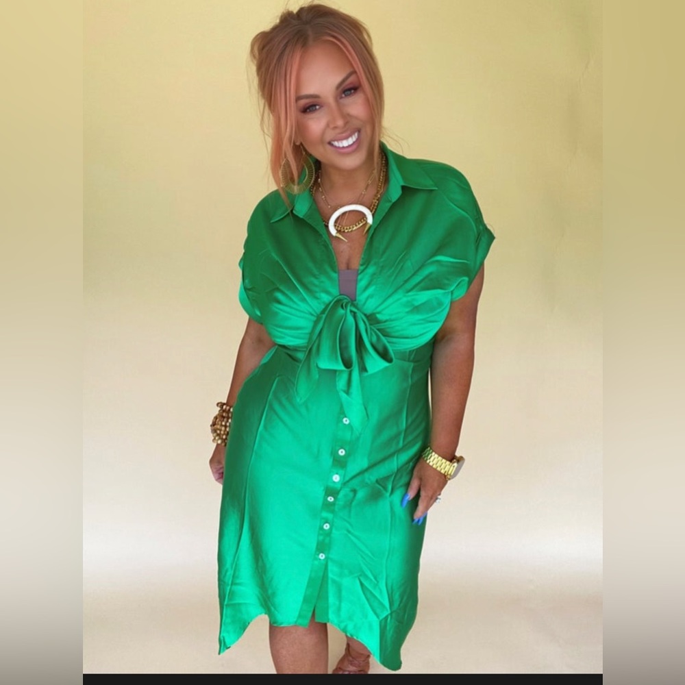 Green Button Up Midi Dress Size LARGE NWOT